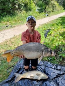 Mirror Carp