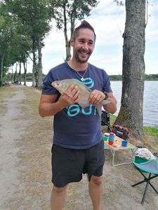 Common Bream
