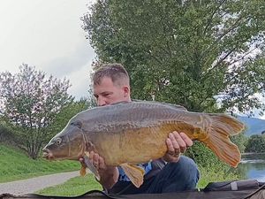 Mirror Carp