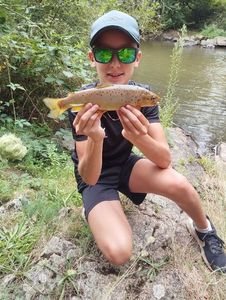 Brown Trout