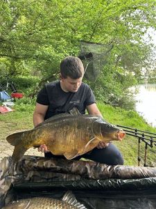 Mirror Carp