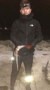 European Squid