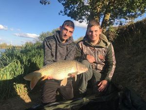 Common Carp