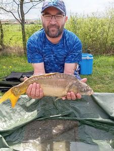 Common Carp