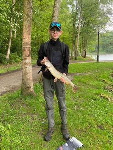 Northern Pike