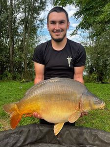 Mirror Carp