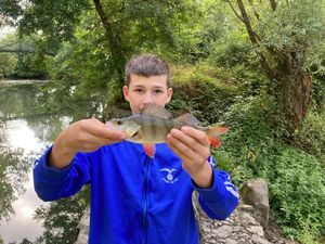 European Perch