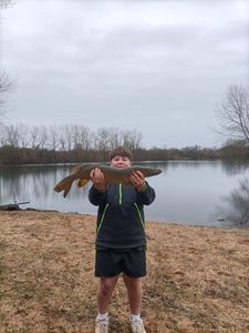 Northern Pike