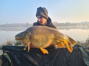 Mirror Carp