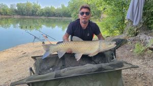 Silver Carp