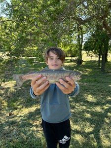 Brook Trout