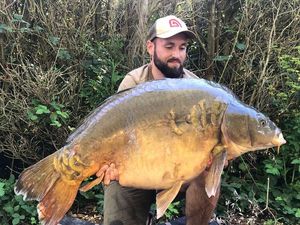 Mirror Carp