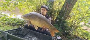 Mirror Carp