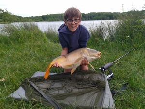 Carpe miroir