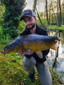 Leather Carp