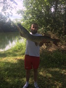 Northern Pike