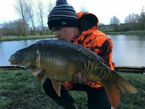 Mirror Carp