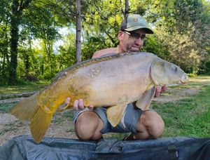 Mirror Carp