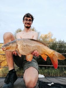 Mirror Carp