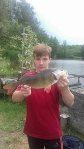 European Perch