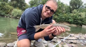 Brown Trout