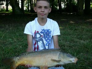Mirror Carp