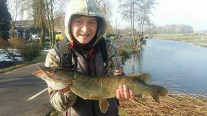 Northern Pike