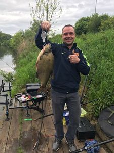 Common Bream