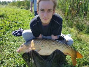 Common Carp