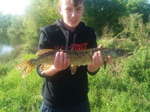 Northern Pike