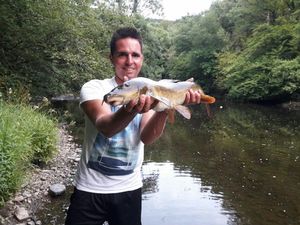 Barbel