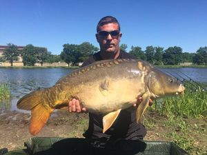Mirror Carp