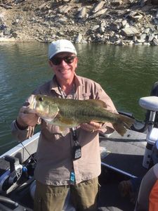 Largemouth Bass