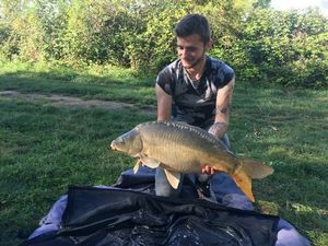 Mirror Carp