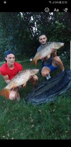 Mirror Carp