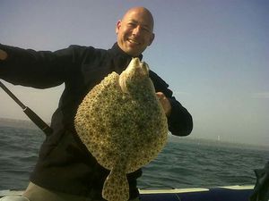 Turbot