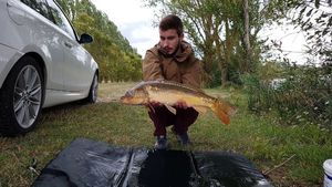 Mirror Carp