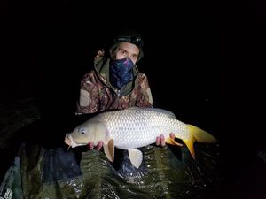 Common Carp