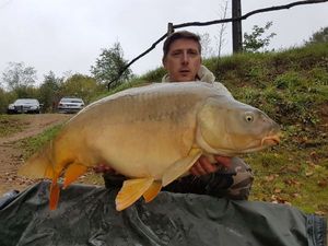 Mirror Carp