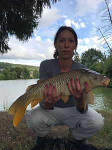 Common Carp