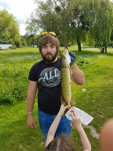 Northern Pike