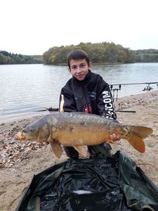 Mirror Carp