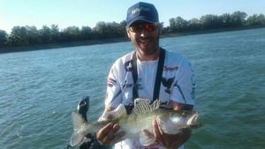 Zander