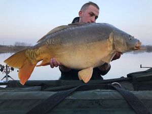 Mirror Carp