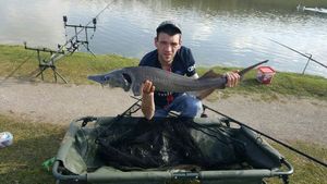 Sturgeon