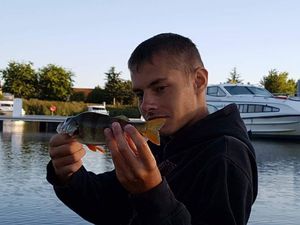 European Perch