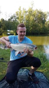 Silver Carp