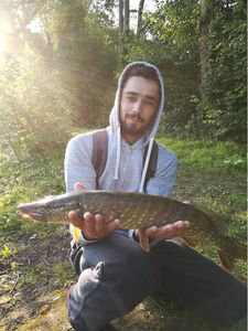 Northern Pike
