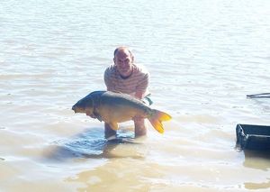 Mirror Carp