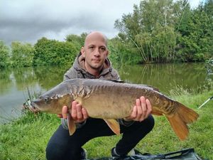 Mirror Carp